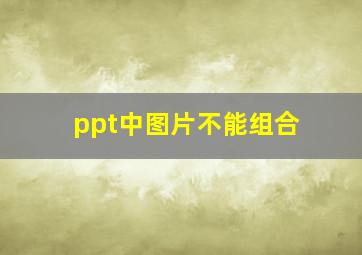 ppt中图片不能组合