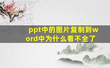 ppt中的图片复制到word中为什么看不全了