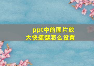 ppt中的图片放大快捷键怎么设置