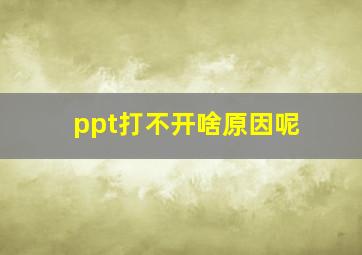 ppt打不开啥原因呢