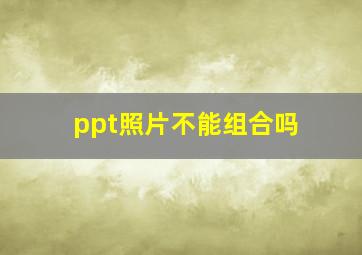 ppt照片不能组合吗