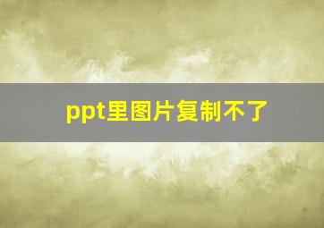 ppt里图片复制不了