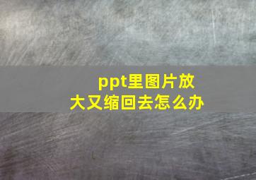 ppt里图片放大又缩回去怎么办