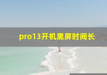 pro13开机黑屏时间长