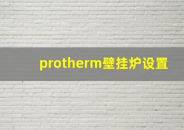 protherm壁挂炉设置