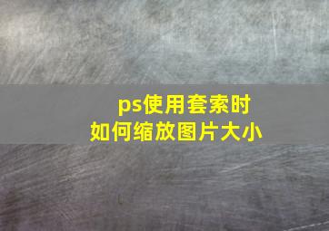 ps使用套索时如何缩放图片大小