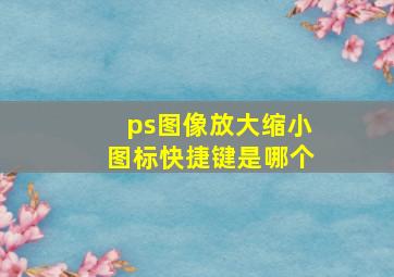 ps图像放大缩小图标快捷键是哪个