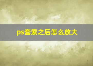 ps套索之后怎么放大