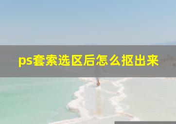 ps套索选区后怎么抠出来