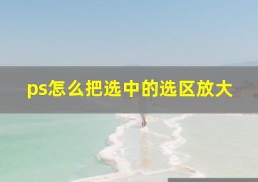 ps怎么把选中的选区放大