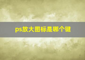 ps放大图标是哪个键