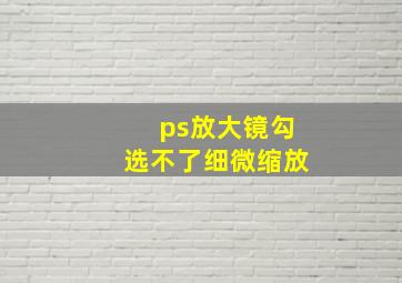 ps放大镜勾选不了细微缩放