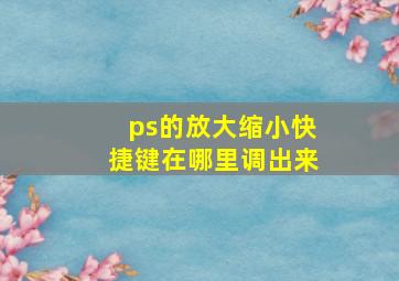 ps的放大缩小快捷键在哪里调出来