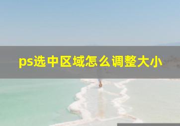 ps选中区域怎么调整大小