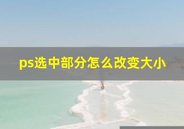 ps选中部分怎么改变大小