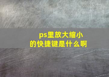 ps里放大缩小的快捷键是什么啊