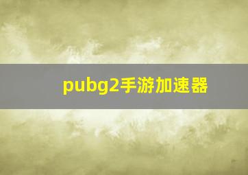 pubg2手游加速器