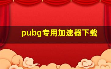 pubg专用加速器下载