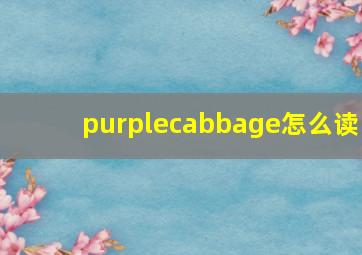 purplecabbage怎么读