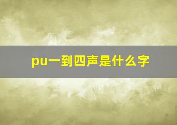 pu一到四声是什么字