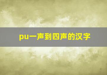 pu一声到四声的汉字