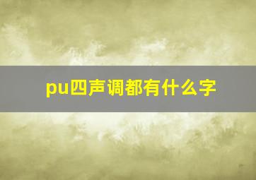 pu四声调都有什么字