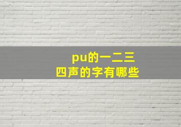 pu的一二三四声的字有哪些