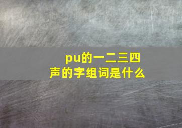 pu的一二三四声的字组词是什么