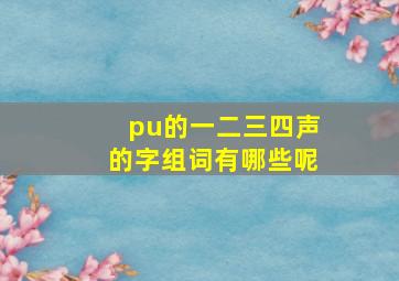 pu的一二三四声的字组词有哪些呢