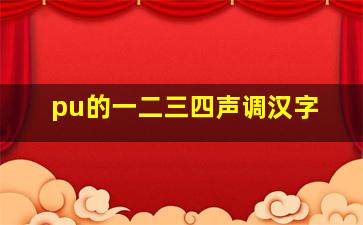 pu的一二三四声调汉字