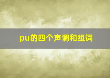 pu的四个声调和组词