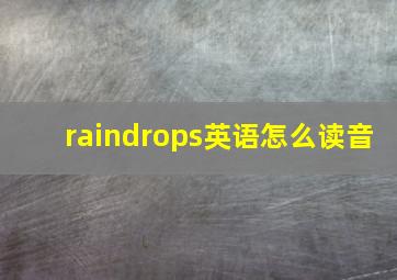 raindrops英语怎么读音