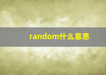 random什么意思