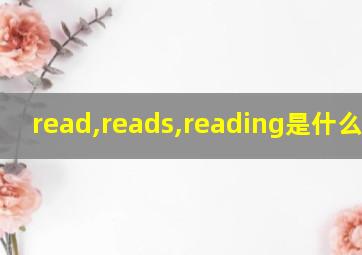 read,reads,reading是什么意思