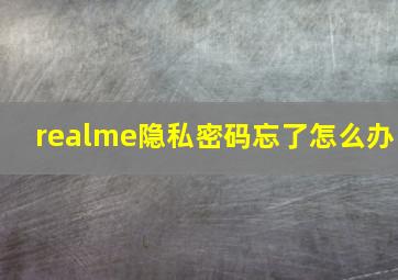 realme隐私密码忘了怎么办