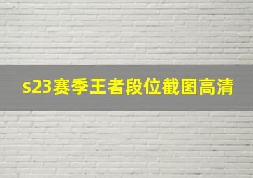 s23赛季王者段位截图高清