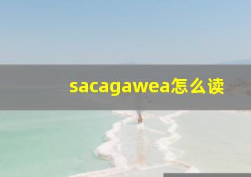 sacagawea怎么读