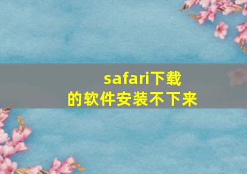 safari下载的软件安装不下来