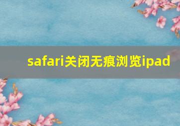 safari关闭无痕浏览ipad