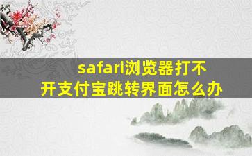 safari浏览器打不开支付宝跳转界面怎么办