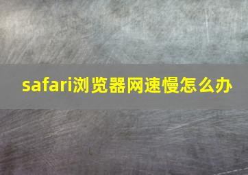 safari浏览器网速慢怎么办