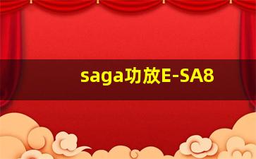 saga功放E-SA8