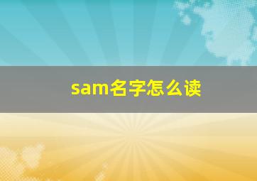 sam名字怎么读