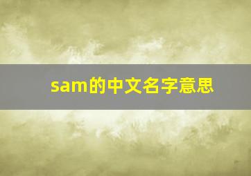 sam的中文名字意思