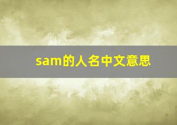 sam的人名中文意思