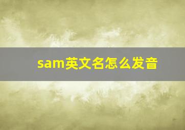 sam英文名怎么发音