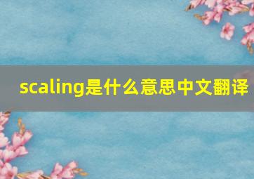 scaling是什么意思中文翻译