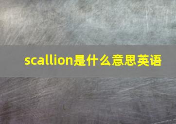 scallion是什么意思英语