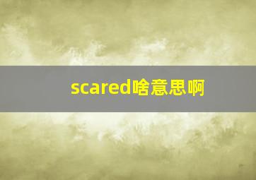 scared啥意思啊