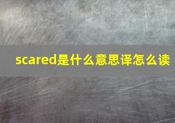 scared是什么意思译怎么读